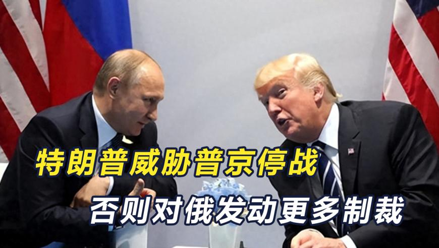 狗狗主动趴下给小主人当脚垫子,944cc天下好彩正版,最新正品解答落实_界面版V7.28