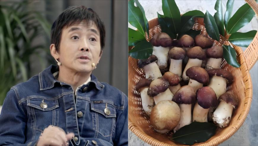 管家婆澳门资料大全天天好彩,英飞凌获德国9.2亿欧元援助,机构预测与落实方法揭秘_移动版V7.38