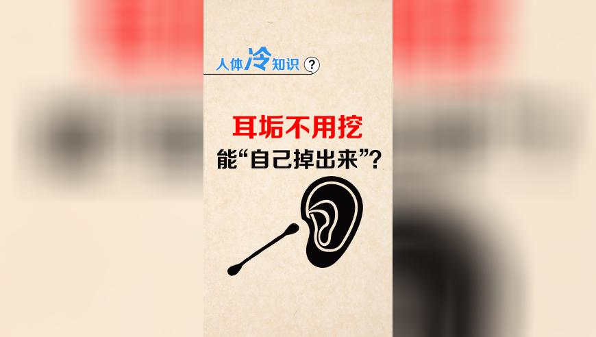 王鹤棣颁奖现场尖叫声,2025旧澳门历史记录查询,精准解释落实及其象征意义_入门版V9.37