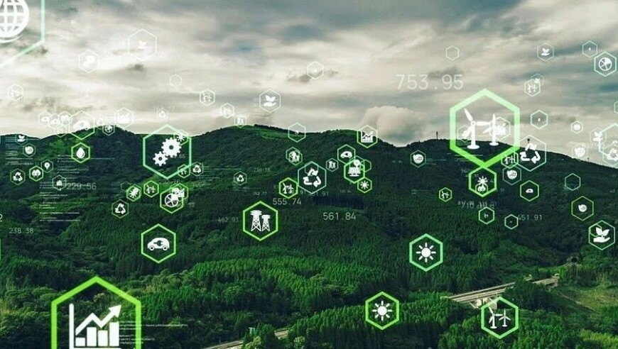 2025年今晚澳门特马号,海尔老总回应胸针走红,创新典义解读_铂金版V4.88