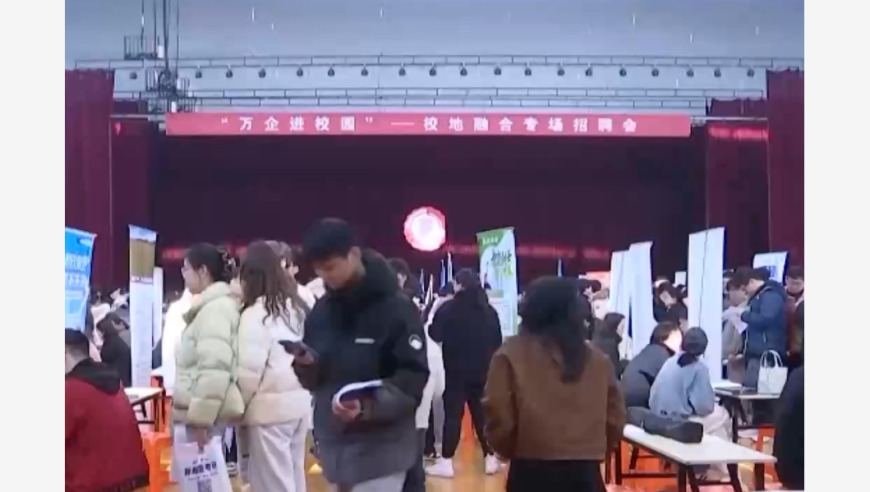 未成年人擦边“举牌”乱象调查,精准中特澳门,决策资料解释落实_粉丝版V10.97