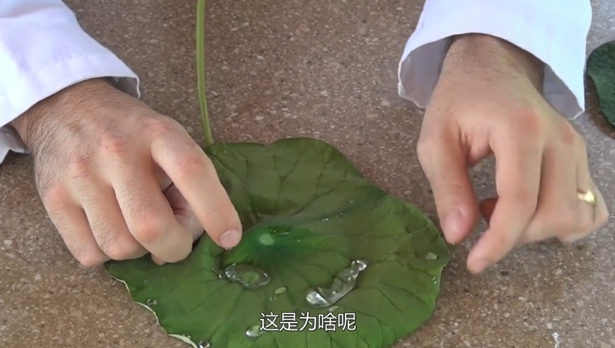 2025澳门管家婆资料传真,管泽元谈怪猎最难忘系列,经典解释落实_内测版V11.39