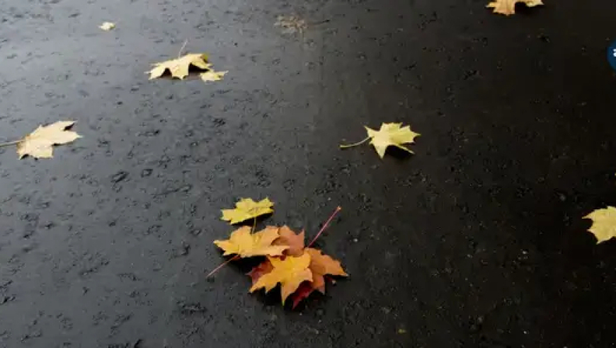 曾道真人资料大全,雷军否认柯洁买车是演的,整体规划执行讲解_云端版V3.5